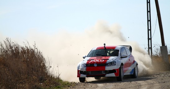 Testy Polo Proto